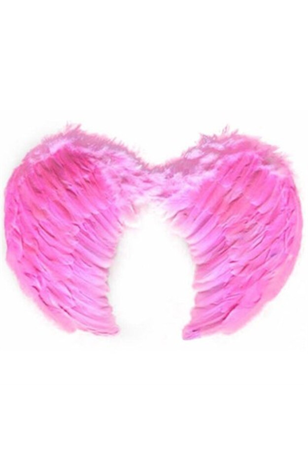 Pembe Fantazi Kanat 40x60 cm